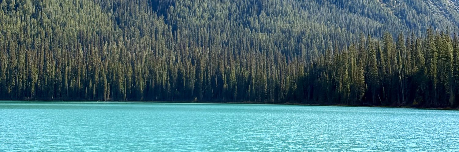 em3lys's profile banner image