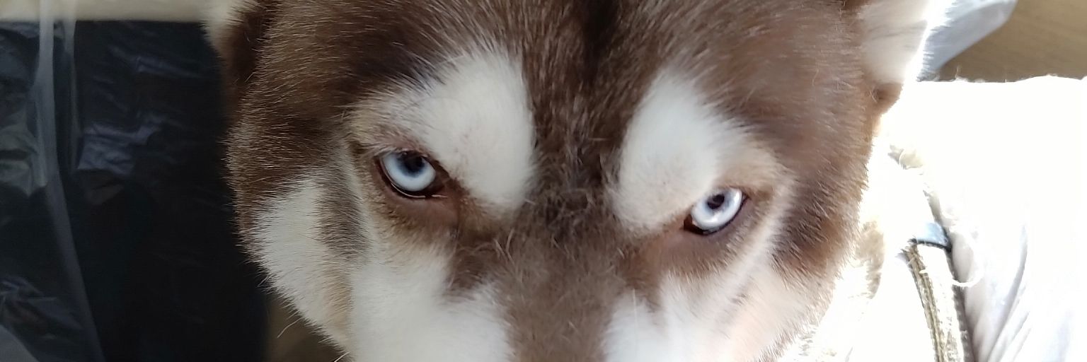 akolangsibryan's profile banner image