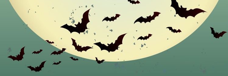 Doowrah96's profile banner image