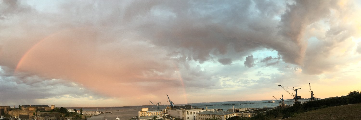 𝑴𝒂𝒓𝒆𝒆 𝑩𝒊𝒔𝒄𝒖𝒊𝒕 banner