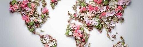 collegeQtie's profile banner image