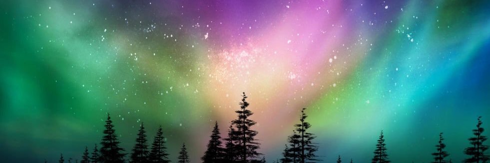 Deniise_Royce's profile banner image