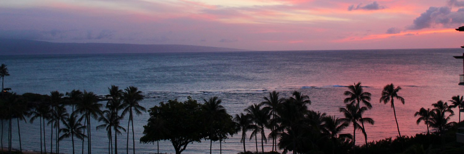 nlsq2794's profile banner image