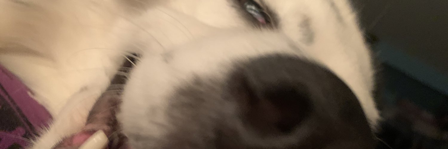 mckennatanner's profile banner image