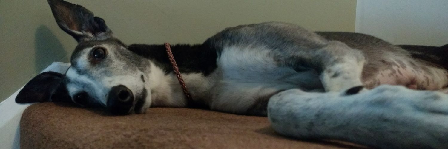 Matt Breckons banner