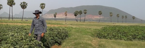 ManojNalanagula Profile Banner