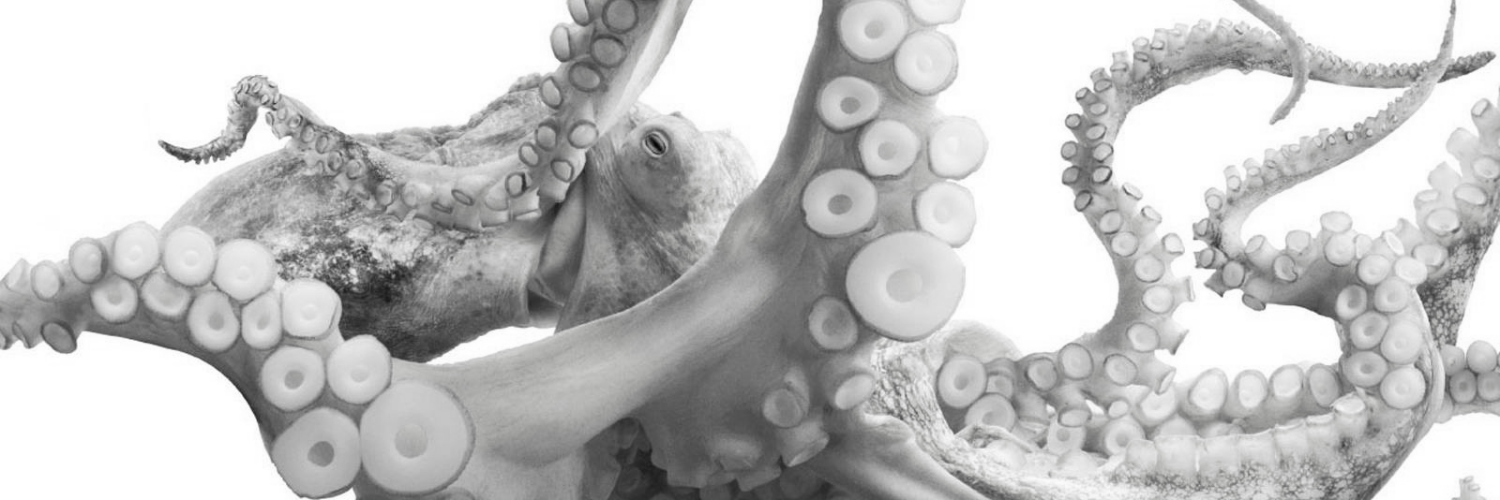 пламене (parody) banner