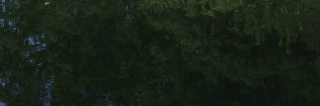 eusuntmic's profile banner image