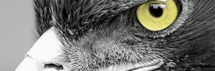 TimucinTncL's profile banner image