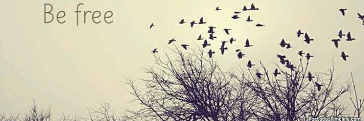 EricaRetamozo's profile banner image