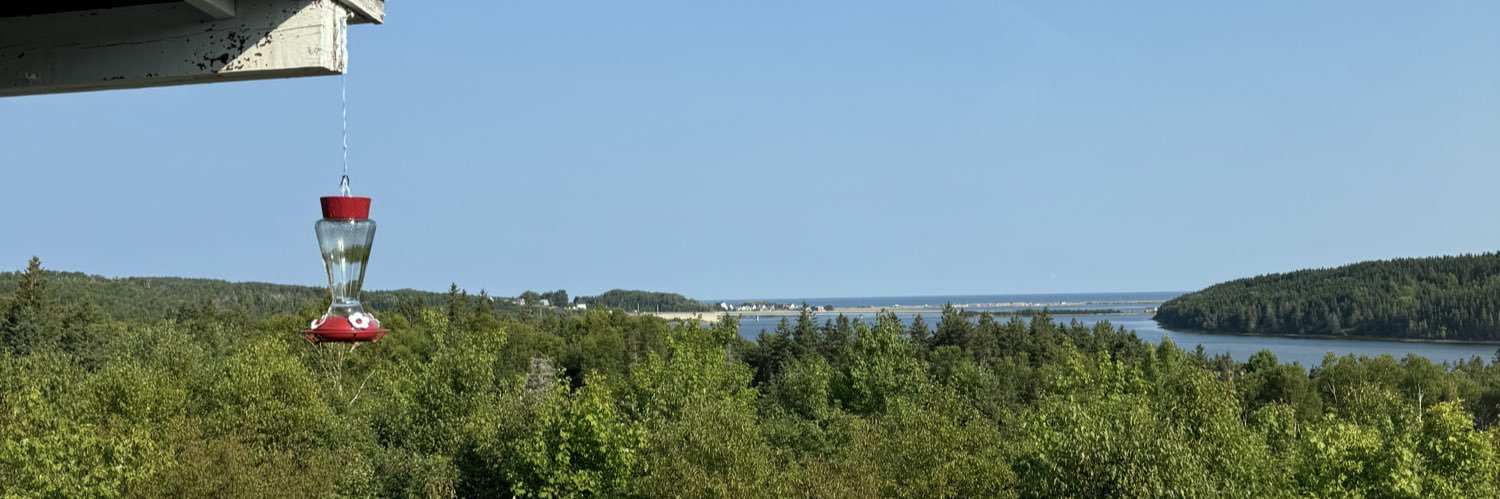 Epuchalski's profile banner image