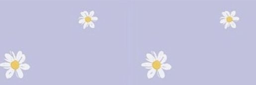 FloriDarrigran's profile banner image
