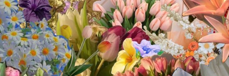 花 banner