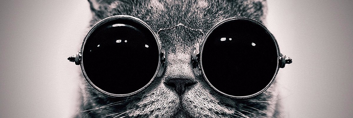 pxlartstudio's profile banner image