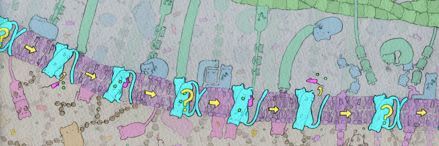 Fiona Naughton banner