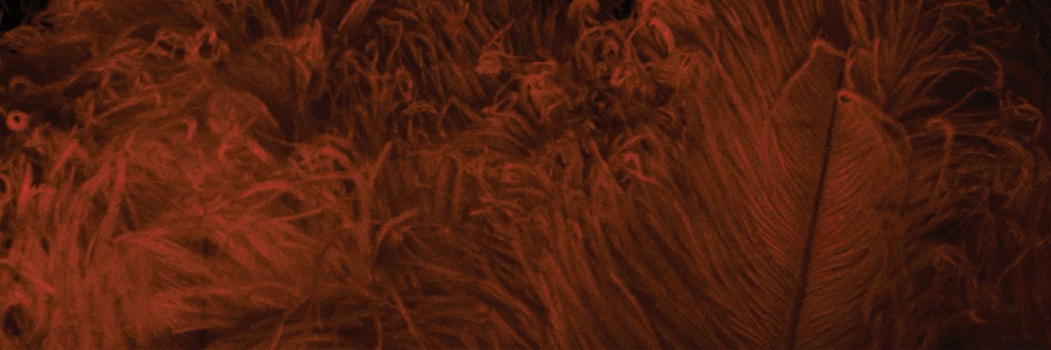 Extranjerodm's profile banner image