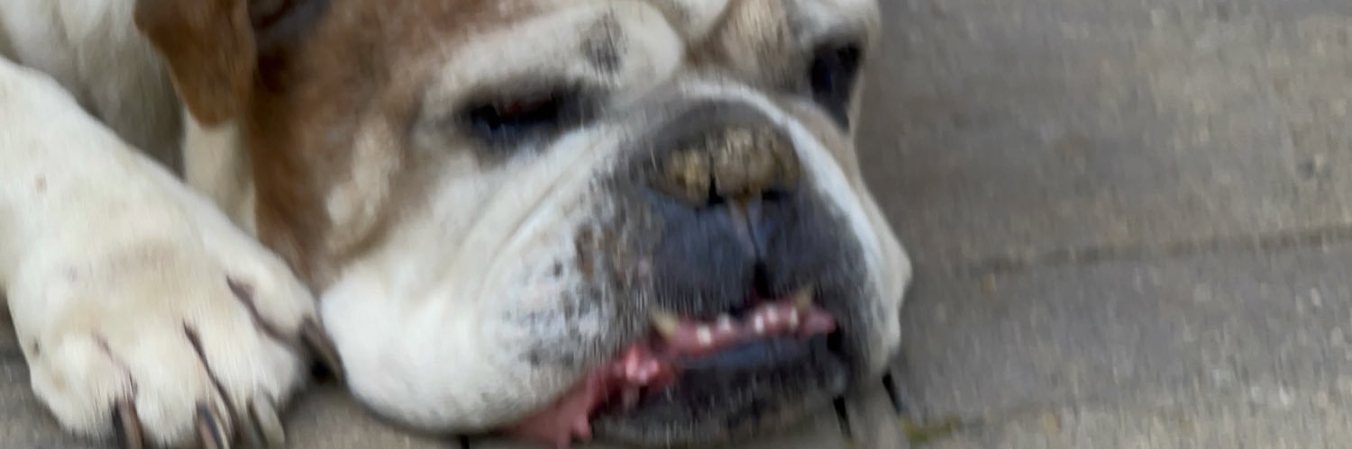 __curiousity's profile banner image