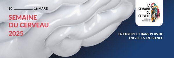 SemCerveau35 Profile Banner