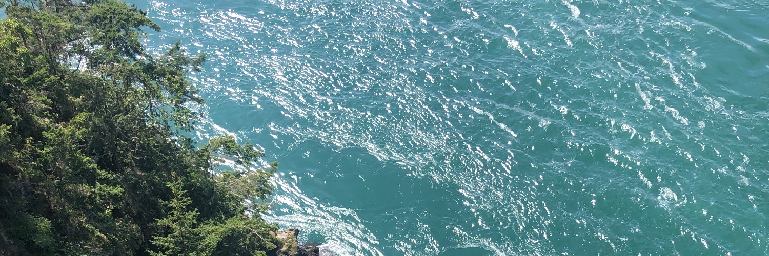 sea_breeeez's profile banner image