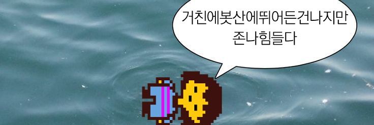 foby_UTDT's profile banner image