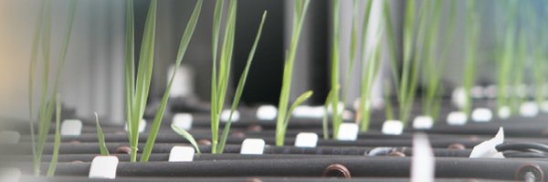 EMPHASIS_EU Profile Banner