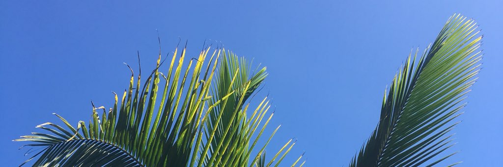 BlakeIzak's profile banner image