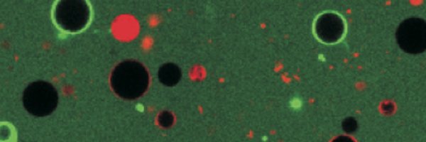 GarciaSaez_Lab Profile Banner
