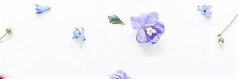 luisVeronika's profile banner image