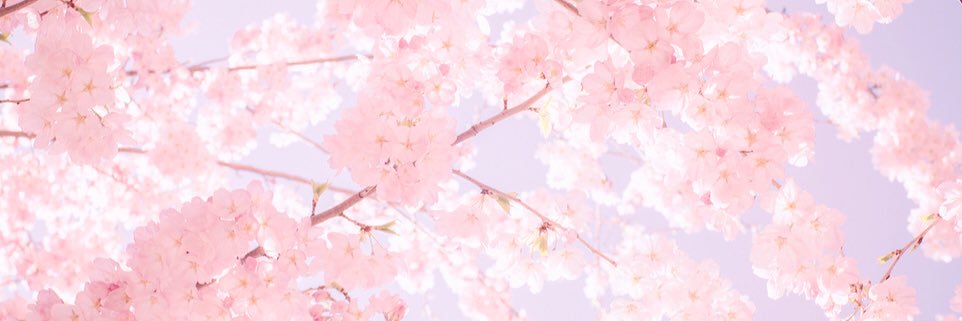 Doll_sugar_'s profile banner image