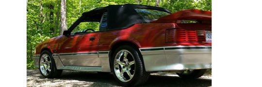 moss_gaige's profile banner image