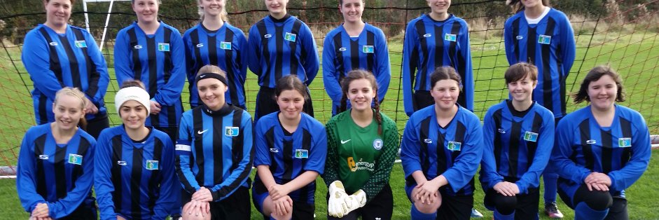 fccalneladies's profile banner image