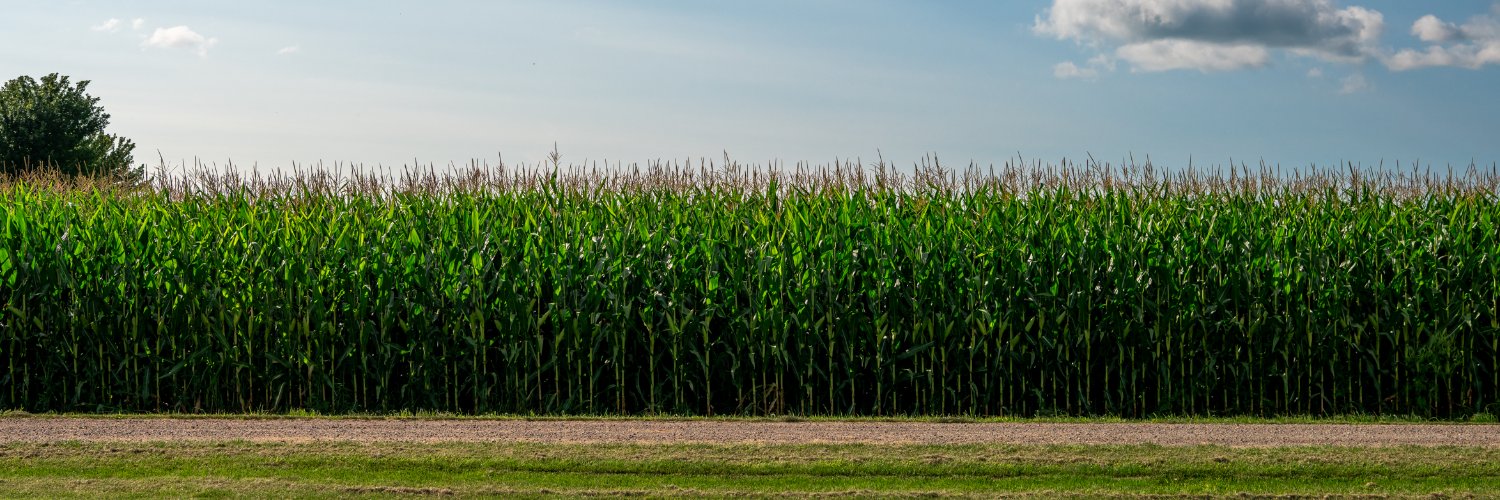 Ontario Soil Network's banner