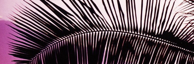 ljpcum's profile banner image