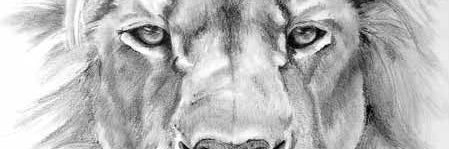 Ty banner