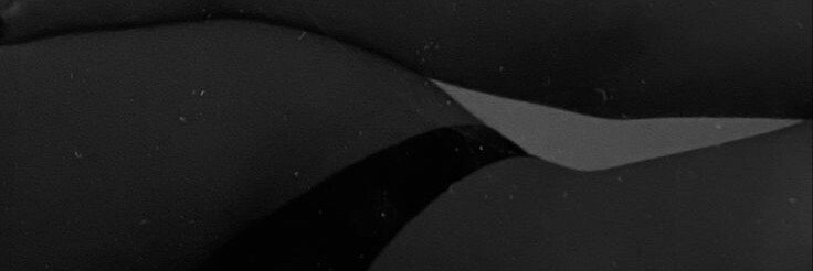 evellyn_thauro's profile banner image