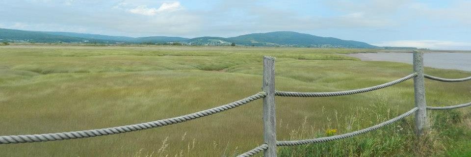 TourismAlbert's profile banner image