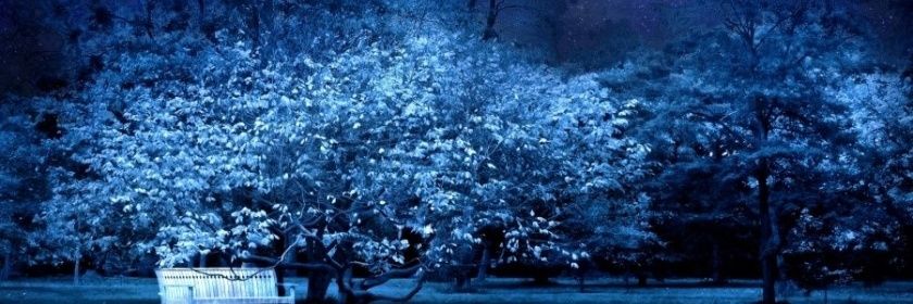 dangi_bot's profile banner image