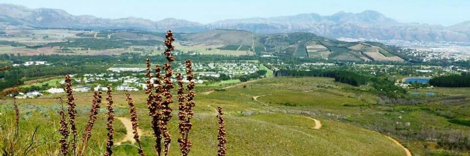 Dr Erica Hepper banner