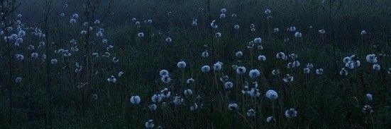 Atelophobia⁷ banner