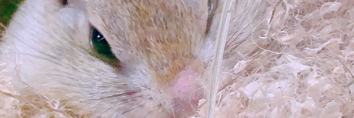 be_kiro's profile banner image