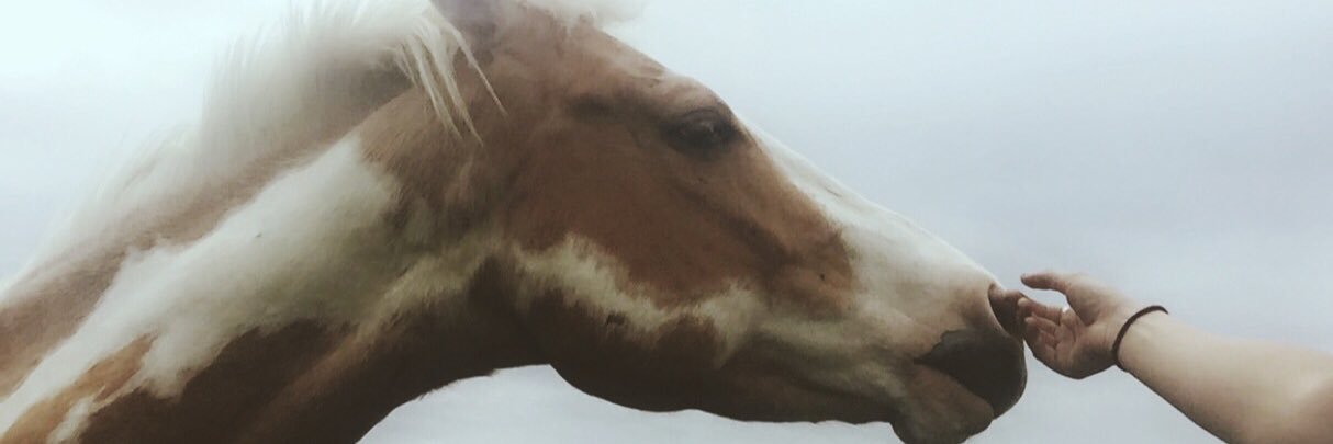 FaithStephany1's profile banner image