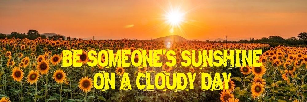 🏴󠁧󠁢󠁷󠁬󠁳󠁿 🇮🇪 🆂🆃🅴🆅🅴 🏴󠁧󠁢󠁷󠁬󠁳󠁿 🇮🇪 banner