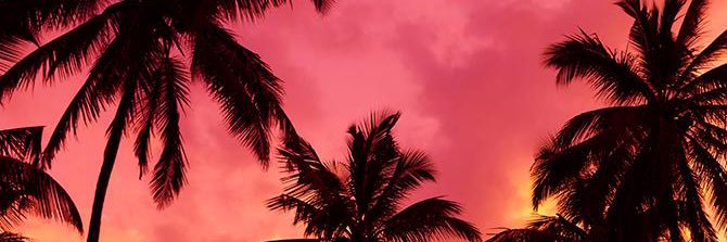𝐊 banner