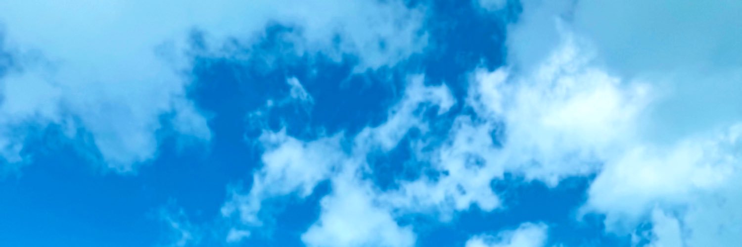 dondada mama's banner