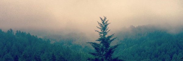 maiaanders Profile Banner