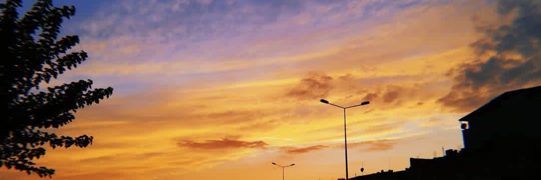 aleyna_ozyer's profile banner image
