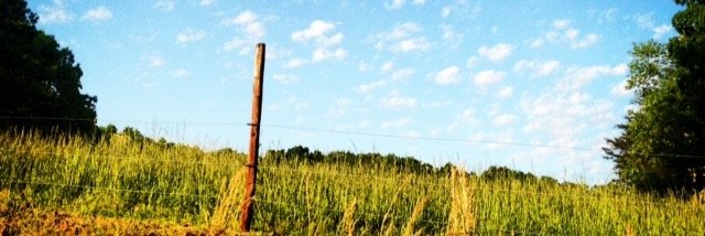 katylayne's profile banner image