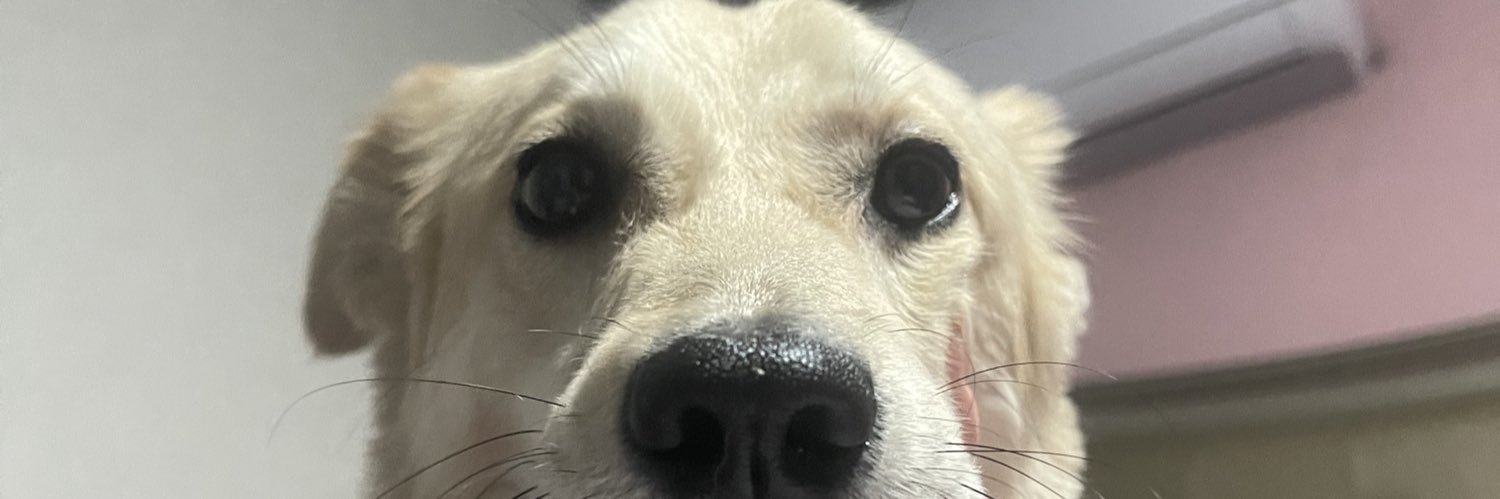 Valeoh8's profile banner image