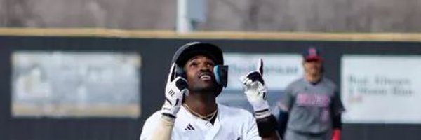 PeytonLewis16 Profile Banner