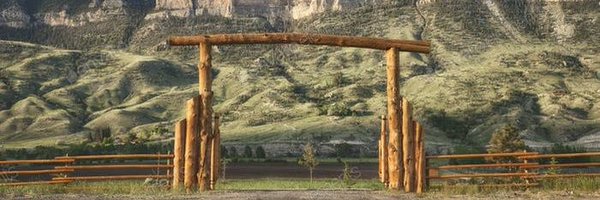 untappedgrowth Profile Banner